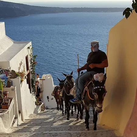 Appartement Gabriel House