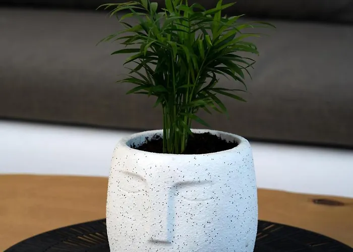 Gabriel House * Монолитос