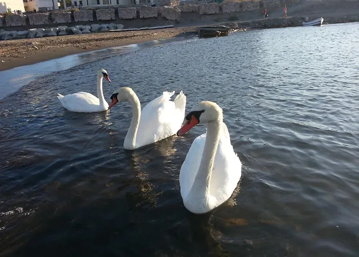 Apartment Gabriel House Monolithos (Santorini)